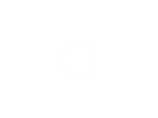 One Stroke Puzzle